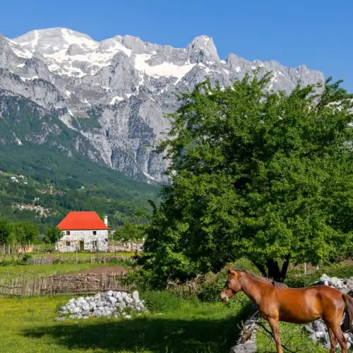 View this trip - Montenegro, Albania and Kosovo: Balkan Trails
